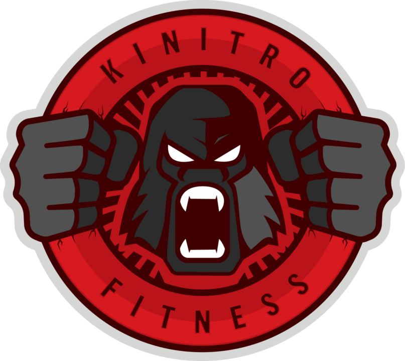 Copy of Kinitro_logo
